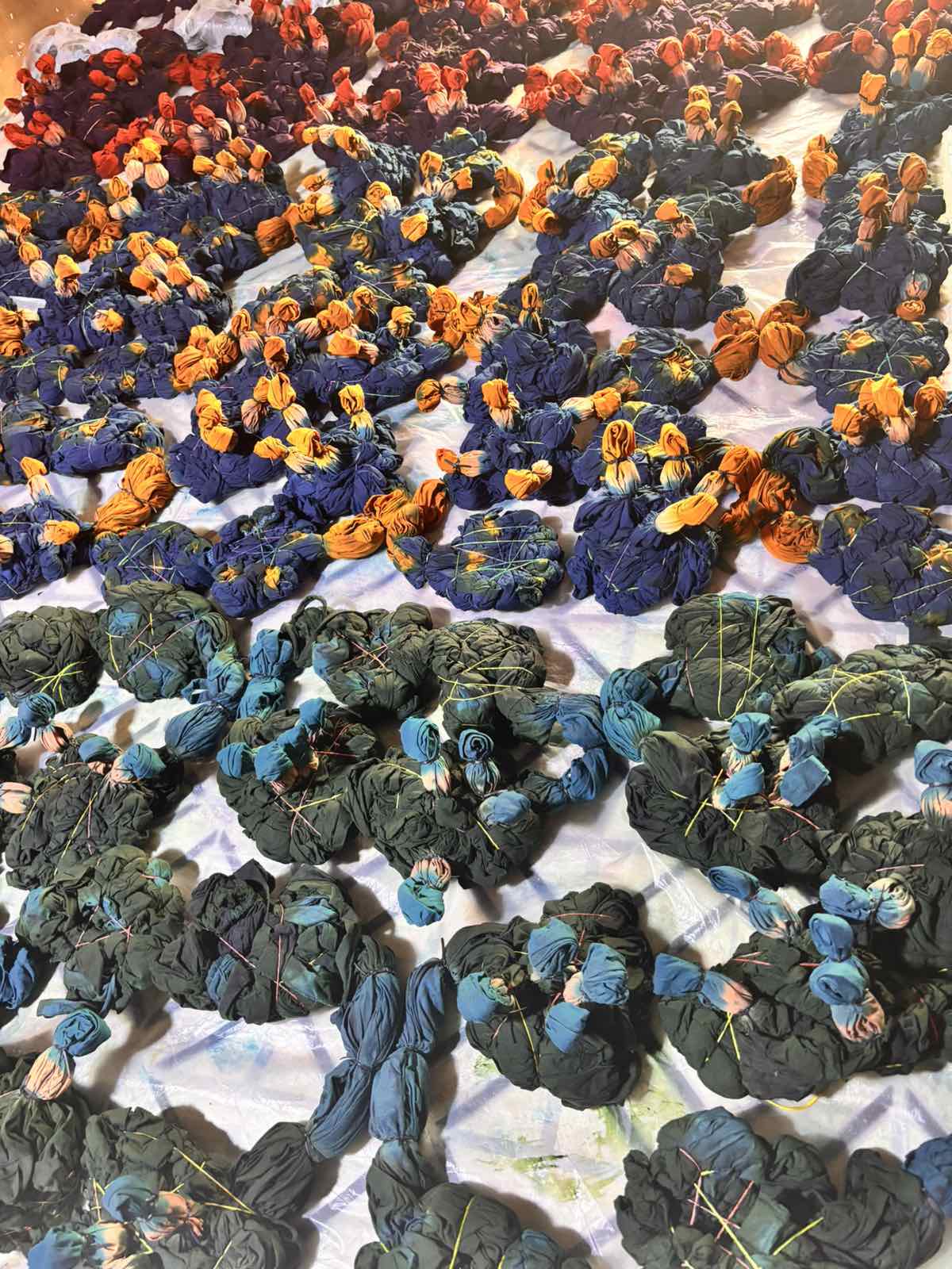 Dye House Process